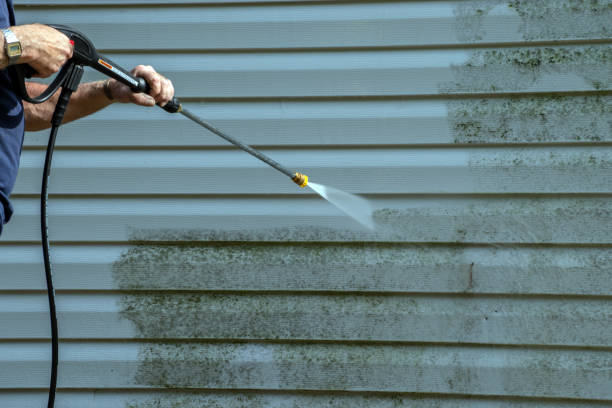 Best Residential Exterior Washing  in Winchester, CA
